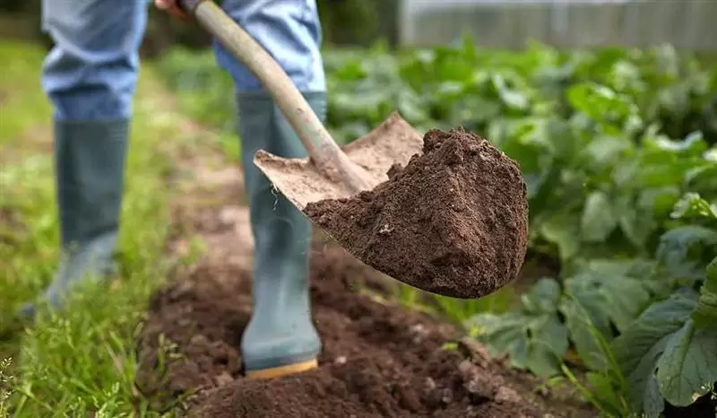 Segurança do Trabalho no Campo