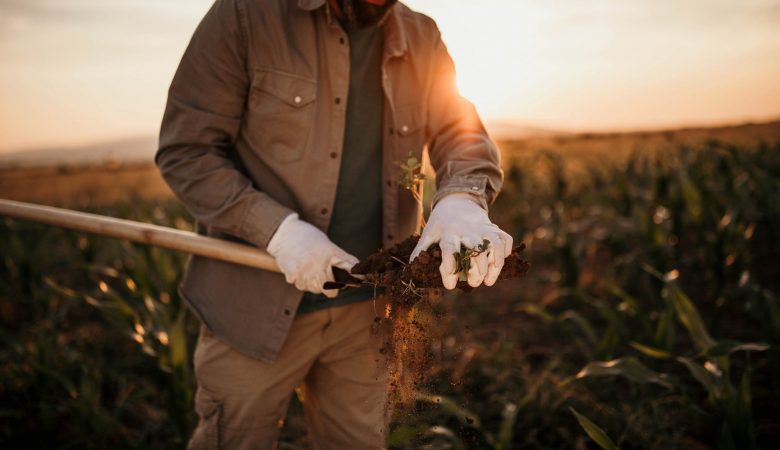 Segurança do Trabalho no Campo